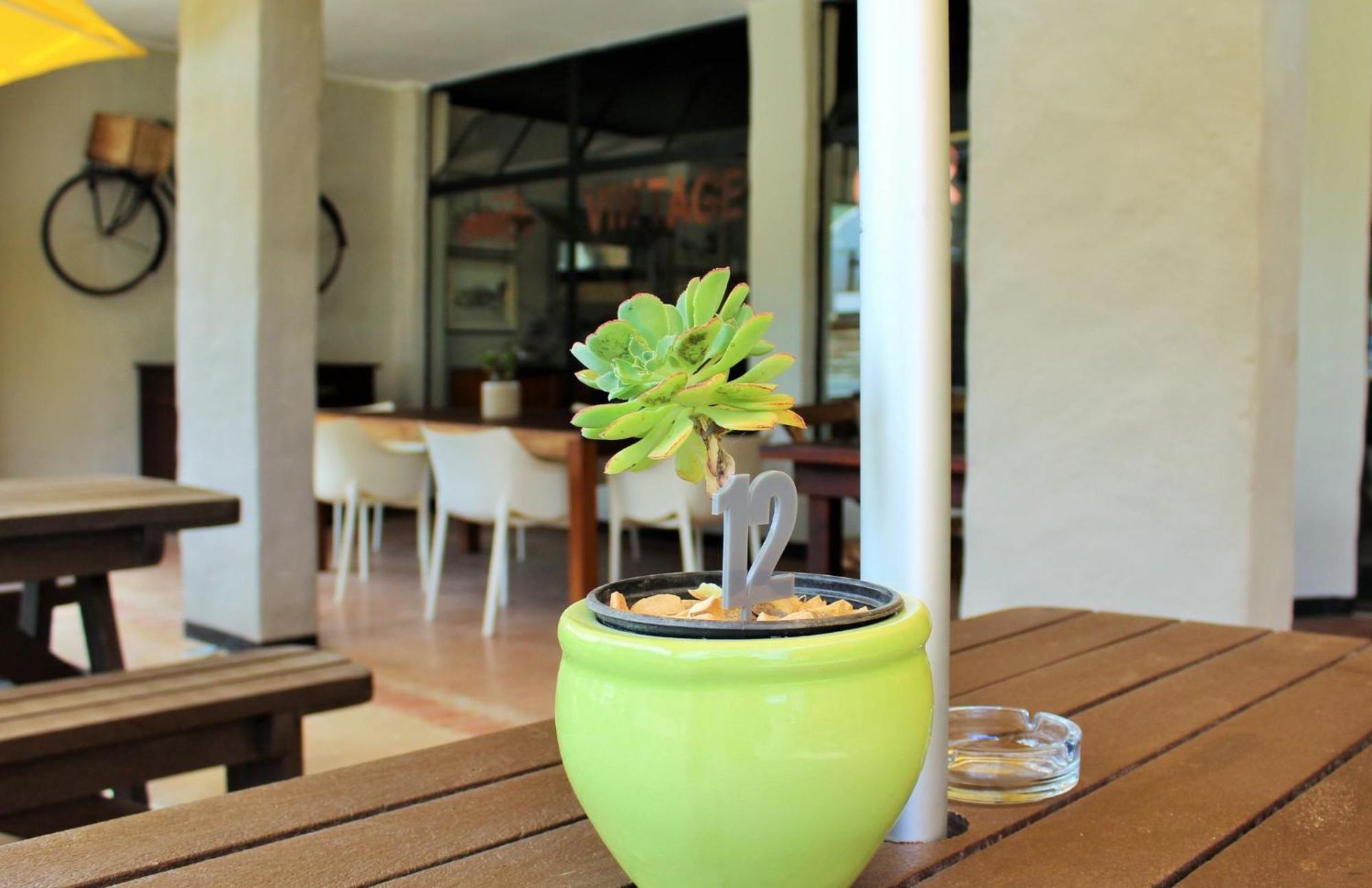 Barrydale Karoo - Boutique Hotel מראה חיצוני תמונה